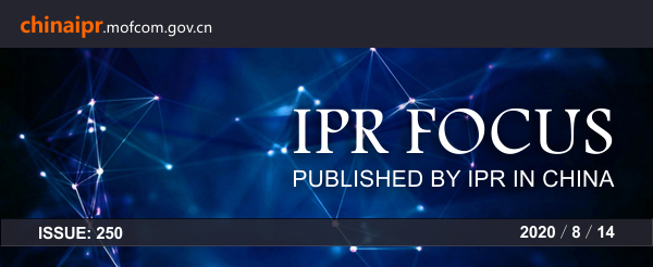 IPR Focus